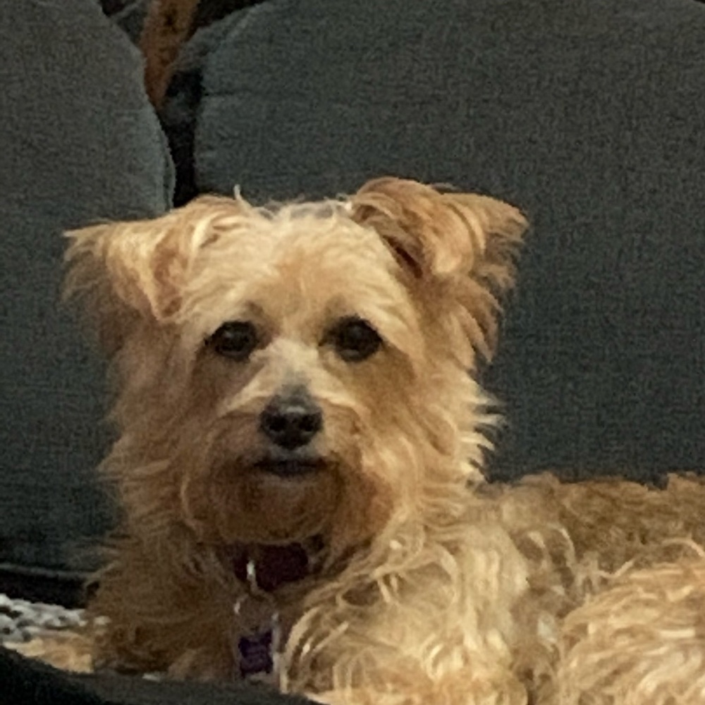 Meet your Posher, Mitzie